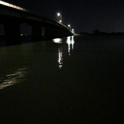 夜釣り