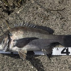 イチノ兄弟、釣果！