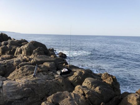 朝一トップでブリ