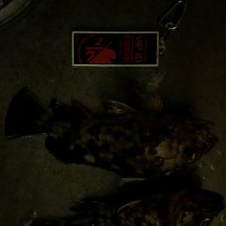 人が密集しない場所