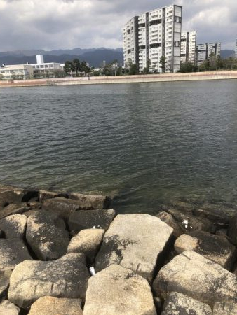 久々のエビ撒き釣り