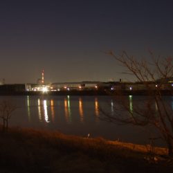 シーバスはダメでも