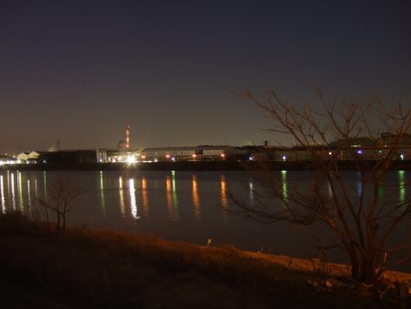 シーバスはダメでも