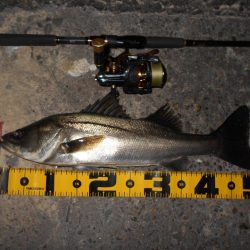 スレたらソリッドクリアの出番♪