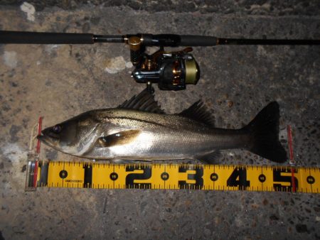 スレたらソリッドクリアの出番♪