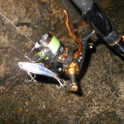 全然乗らん…。