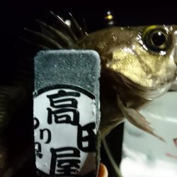 爆風メバリング