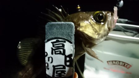 爆風メバリング