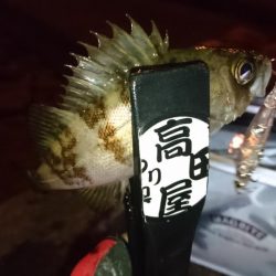 ハードメバル!!