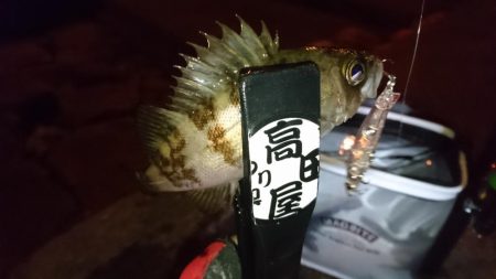 ハードメバル!!