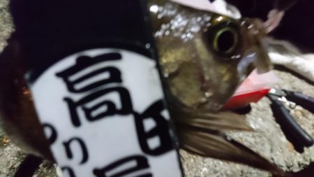 アミパターン！！