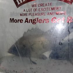 今夜もハード系