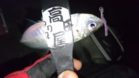 ボトムべったり！！