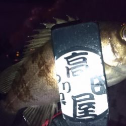 今夜はシャッド！！