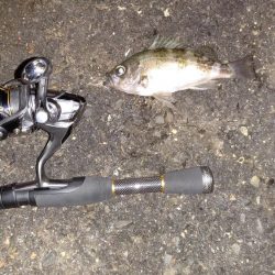 蒲刈方面アジング