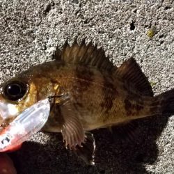 爆風の常夜灯まわり