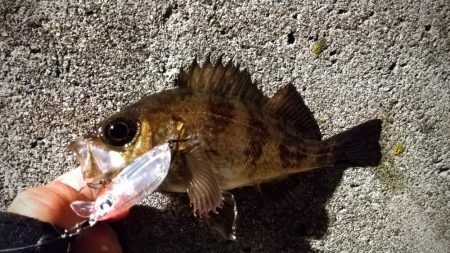 爆風の常夜灯まわり