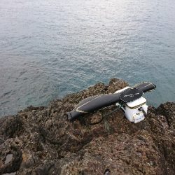 安指でグレ釣り？