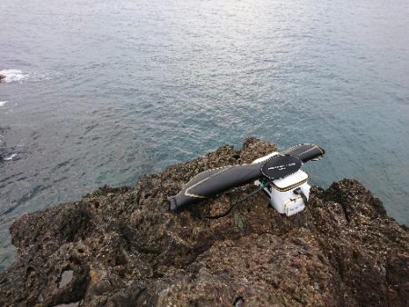 安指でグレ釣り？