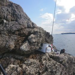 勝浦山成でグレ釣り