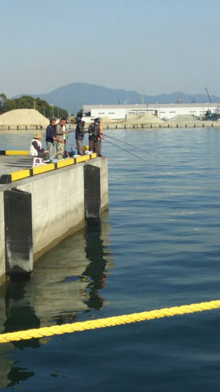 【苅田港】春のシーバス調査