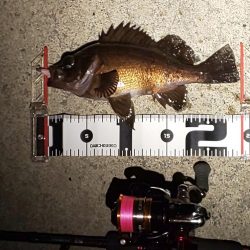 困った時のガルプ頼み