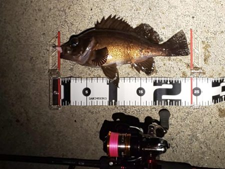 困った時のガルプ頼み