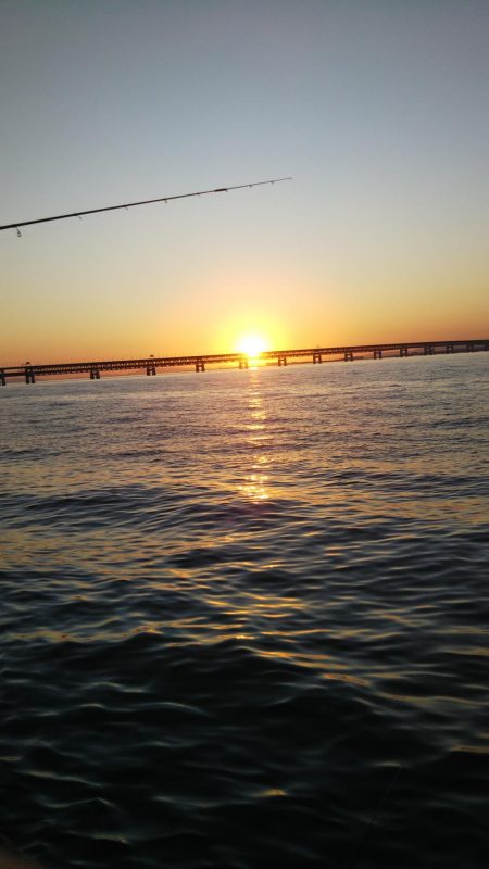 やや大きめアジゲット