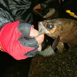 食欲ないのかな？