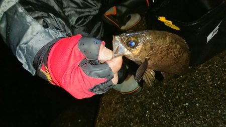 食欲ないのかな？