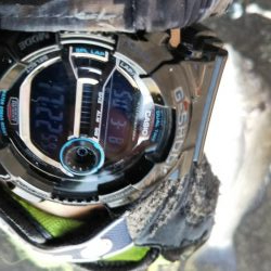 ぶらシーバス！！