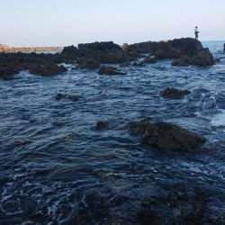 青物  アジング  エギング