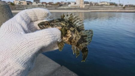 穴釣りも活性上がってきた？