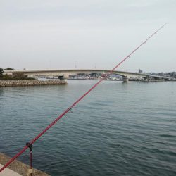 3連休最終日も東二見でキス釣り