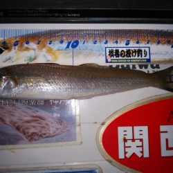 東二見へキス狙い