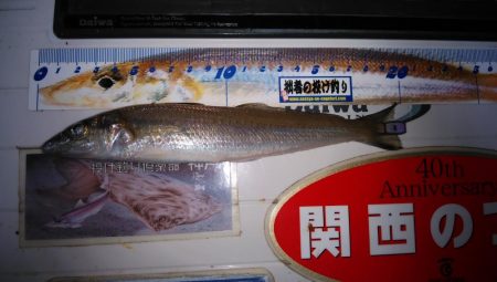 東二見へキス狙い