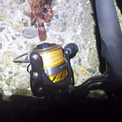 初ガシリング！