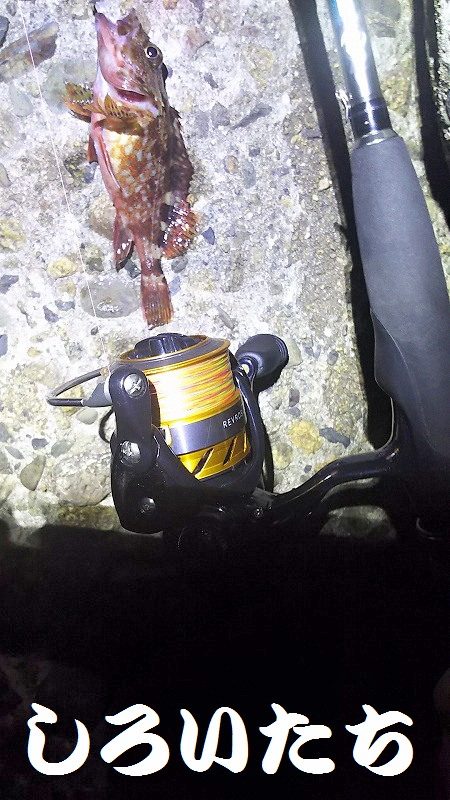 初ガシリング！