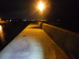 めばるプラッギング