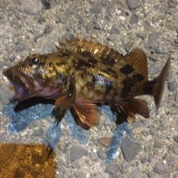 小さくても嬉しい。