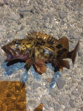 小さくても嬉しい。