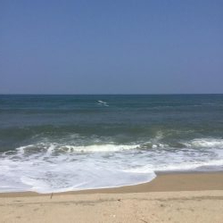 サゴシ釣れました