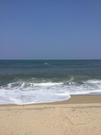 サゴシ釣れました