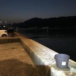 久しぶりのカレイ