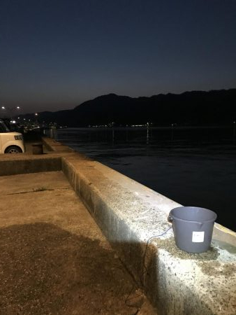 久しぶりのカレイ