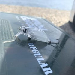 ナイトメバリング♪