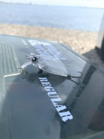 ナイトメバリング♪