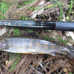 地元の渓谷にて