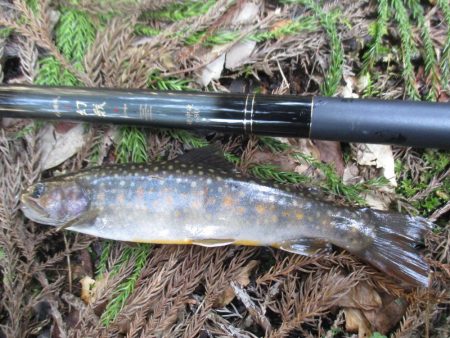 地元の渓谷にて