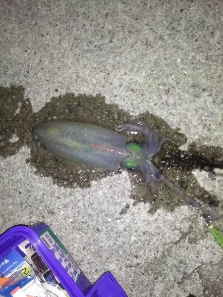 高プレッシャーでの一杯